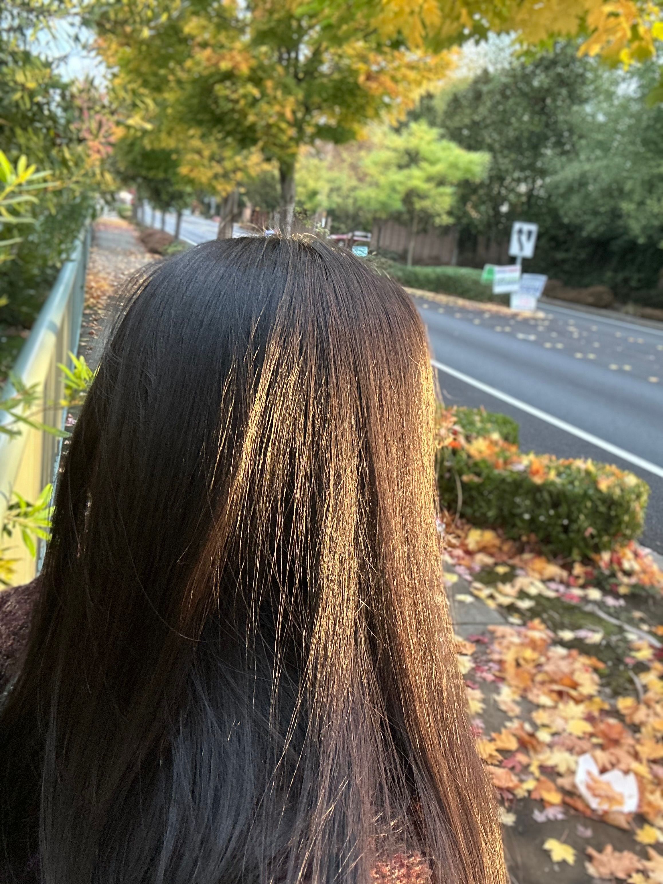 Autumn's Leaves: Fall's Soliloquy 