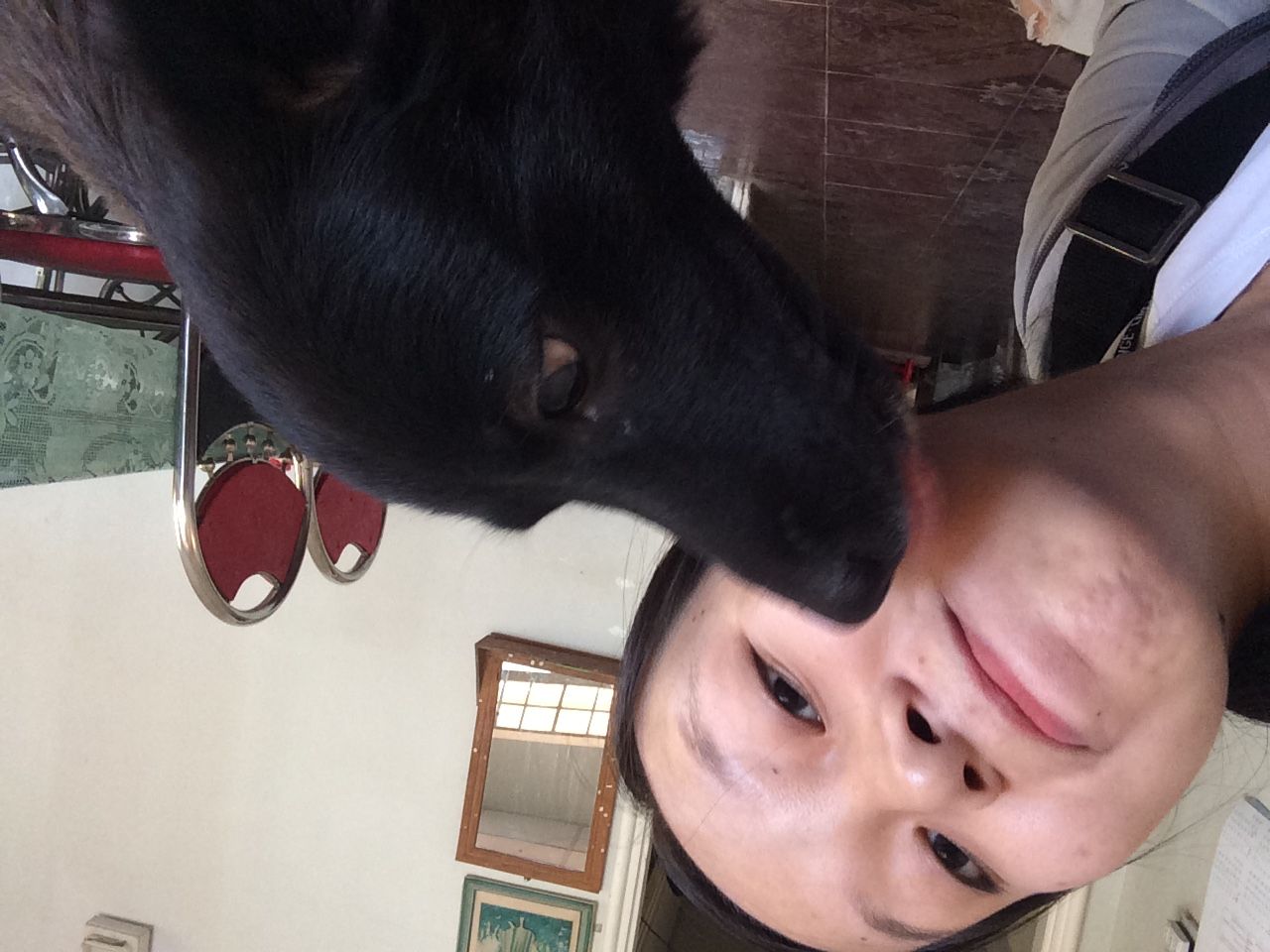 Em Bé Gấu